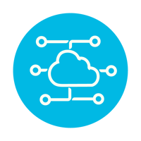 16_TEAM Cloud_Web Icons_REANNZ