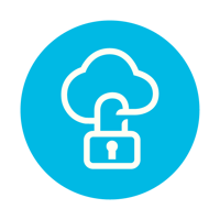 18_TEAM Cloud_Web Icons_REANNZ