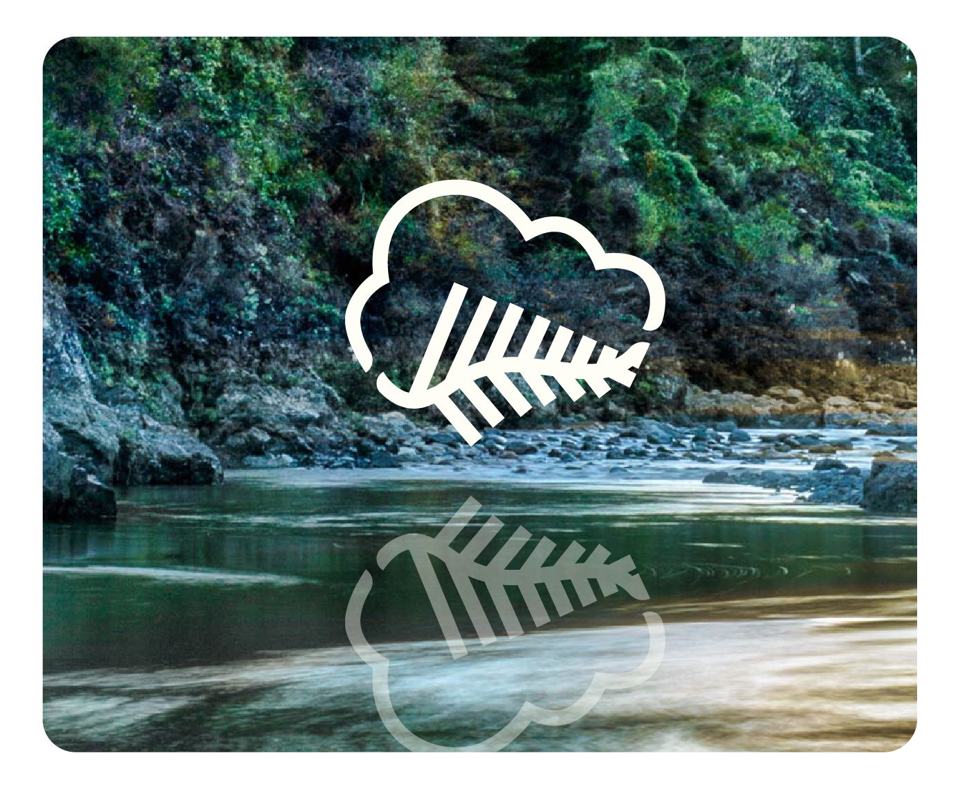 SUSTAINABILITY