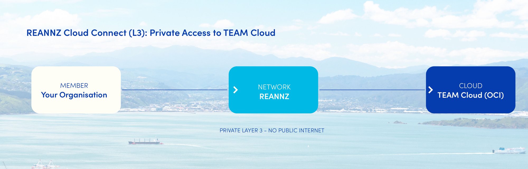 TEAM Cloud_Icon Image banners_REANNZ_1.0