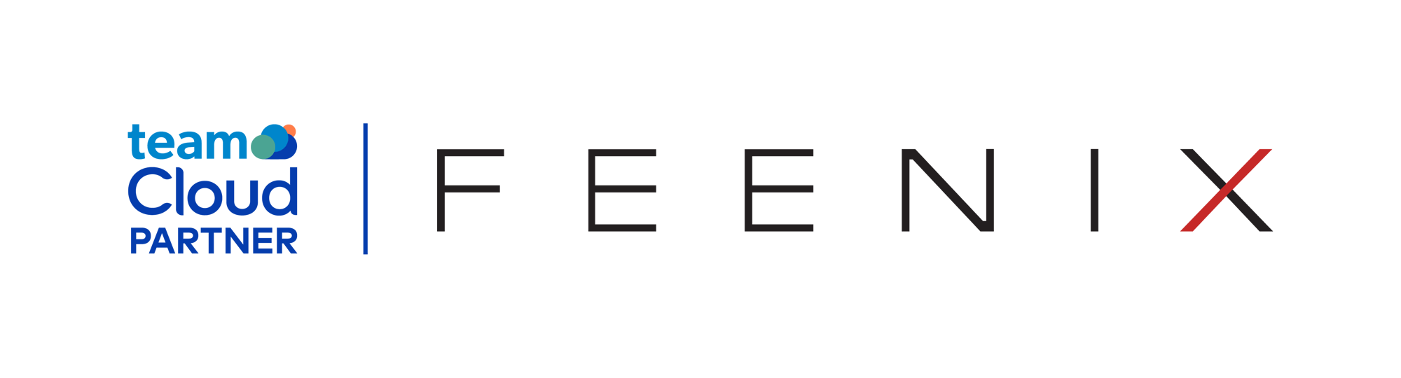 TEAM Cloud_Web Icons_Partner Feenix